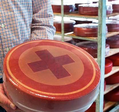 Packing traditional Dutch cheeses which are sold to cheese stores, supermarkets and wholesalers. 
