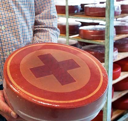 Confezionamento di formaggi tradizionali olandesi venduti a negozi di formaggi, supermercati e grossisti.