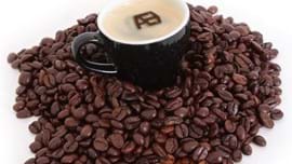 Coffee Beans Cupaudionlogo