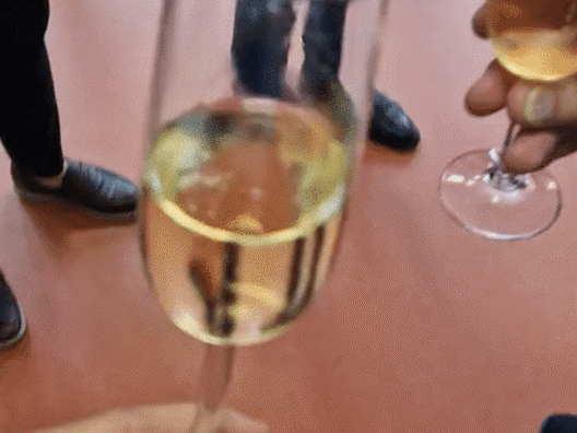 Cheers To Audion