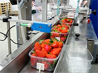 AHM 450 Erdbeeren in Schale